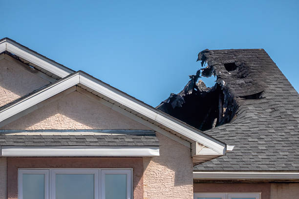 Top rated local Odor Removal specialists in Nokesville, VA